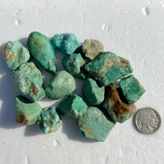Mini Parcel of Clean Green Rough Turquoise from Kingman, Arizona #12