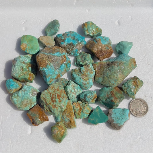 Mini Parcel of Rough Turquoise from Kingman, Arizona #7