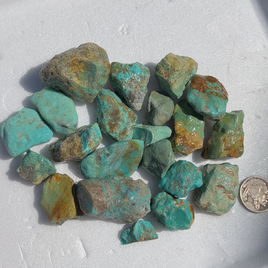 Mini Parcel of Rough Turquoise from Kingman, Arizona #2