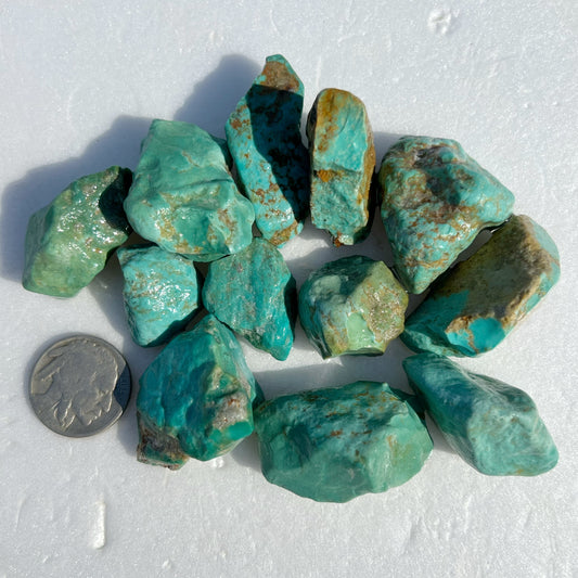 Mini Parcel of Clean Green Rough Turquoise from Kingman, Arizona #10