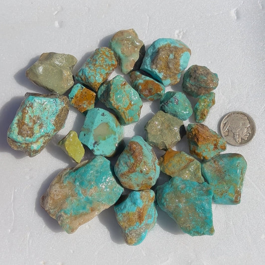Mini Parcel of Rough Turquoise from Kingman, Arizona #3