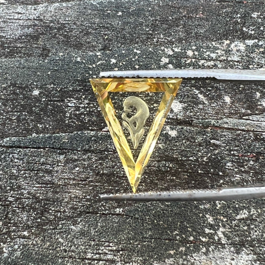 7.9ct Precision Cut Citrine with Ravens Skull Intaglio Carved Gemstone from Brazil