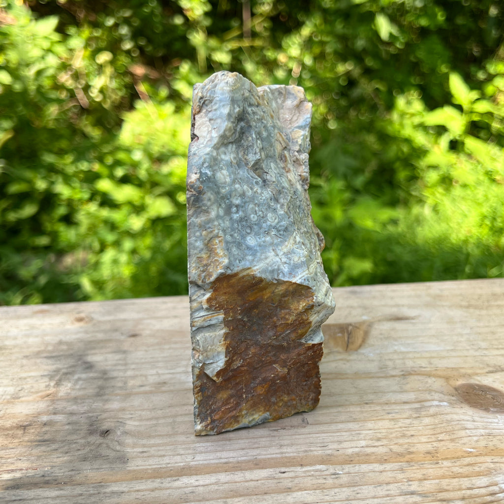 Galaxy Jasper Polished Display Specimen