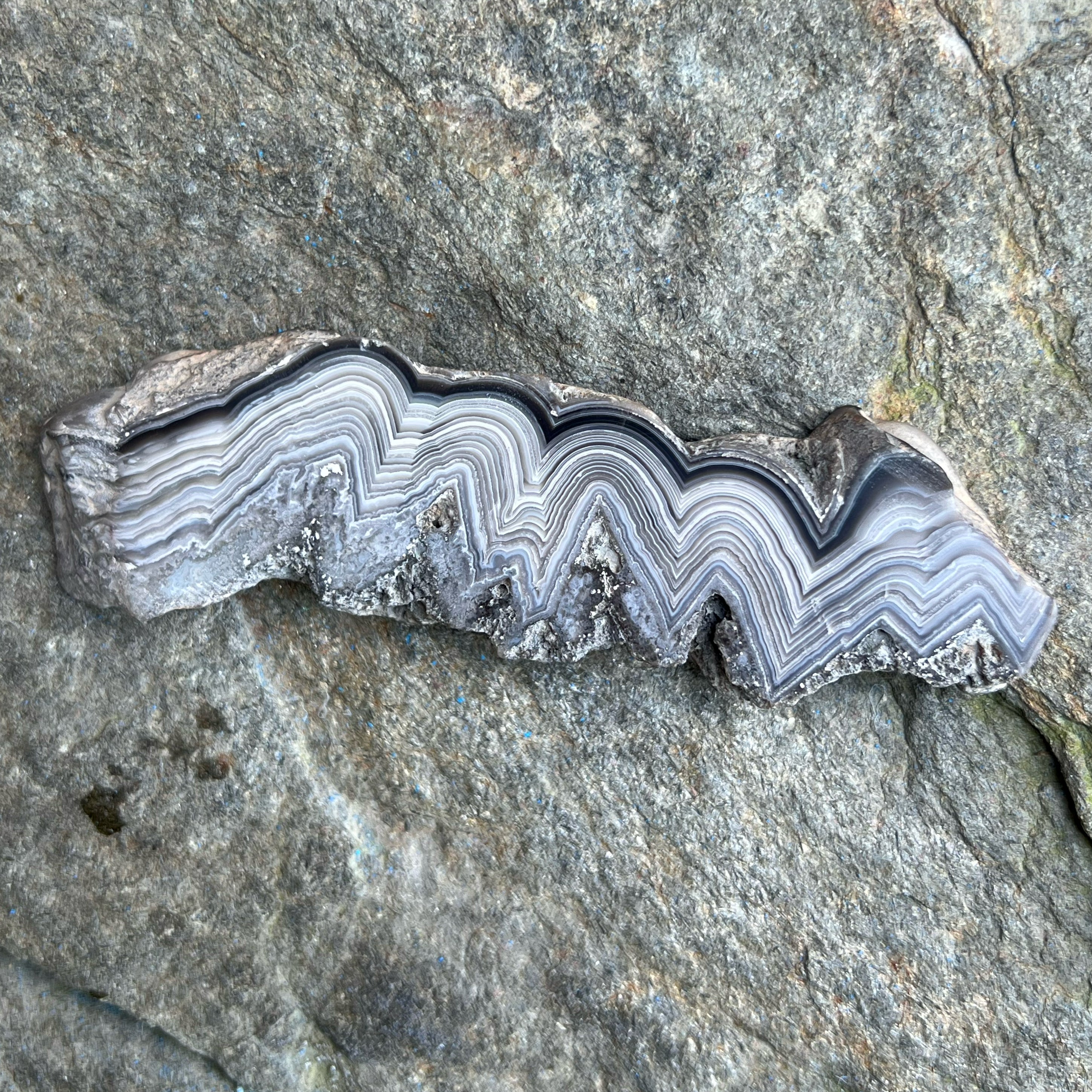 Bubble Lace Agate Polished Display Specimen