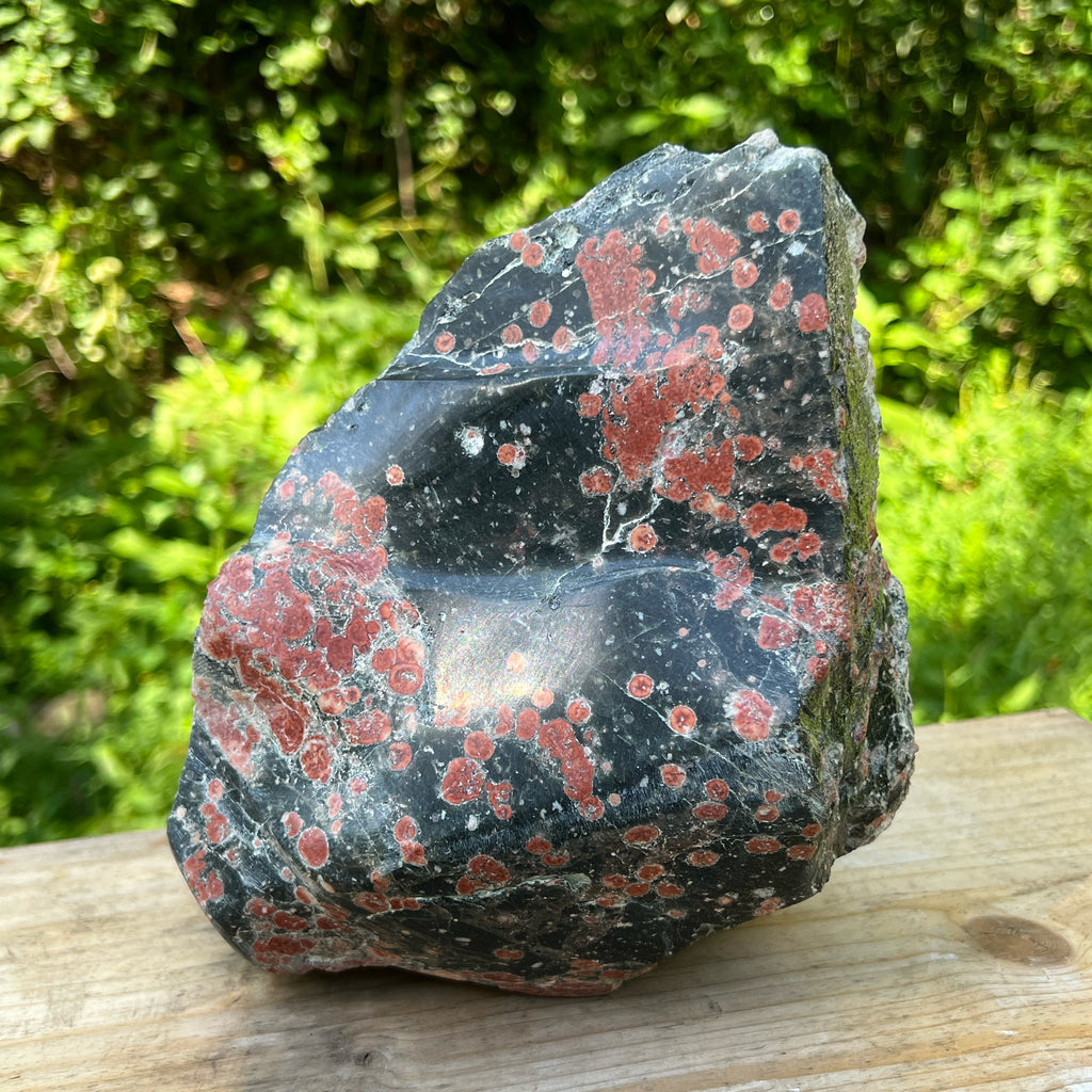 Firecracker Obsidian Polished Display Specimen