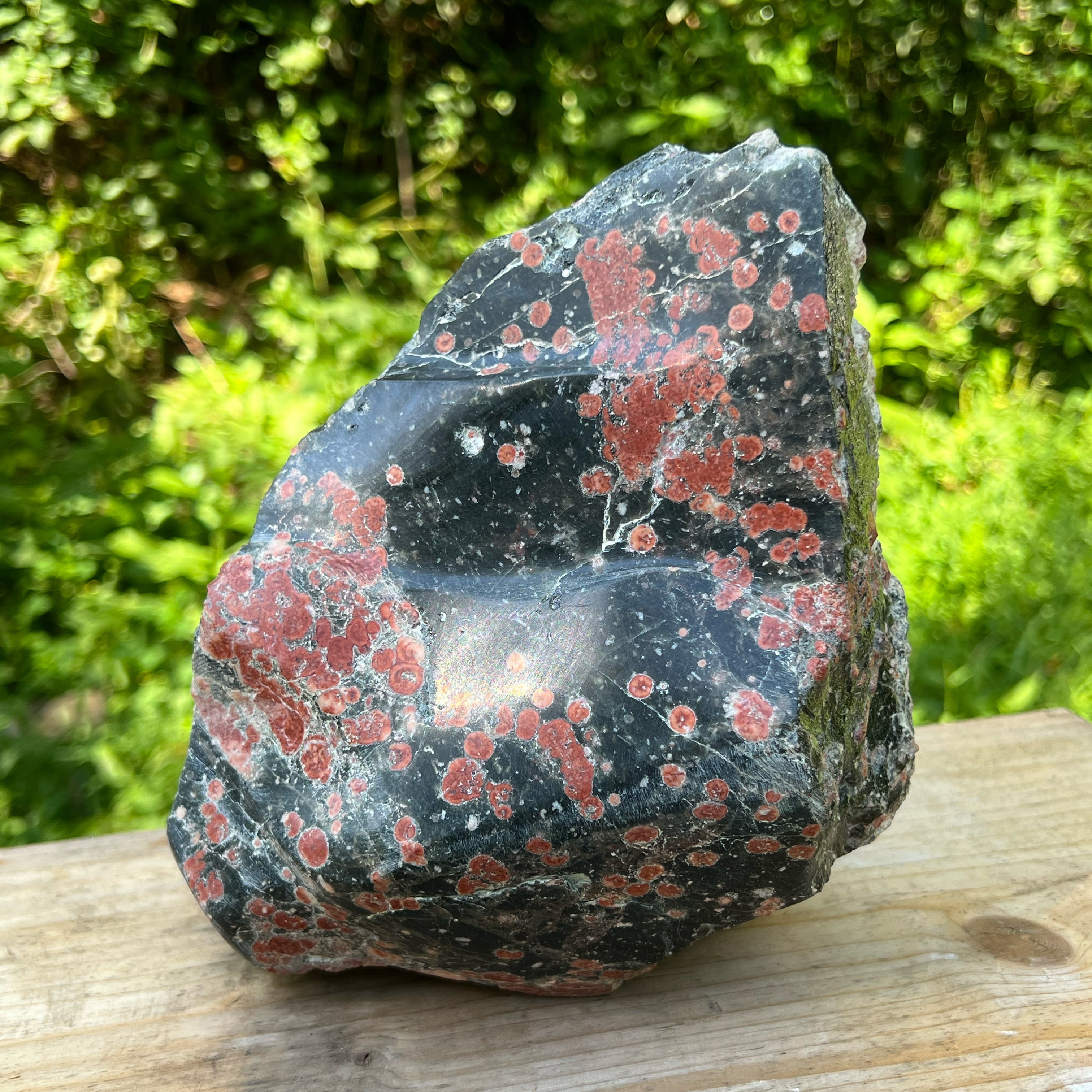 Firecracker Obsidian Polished Display Specimen