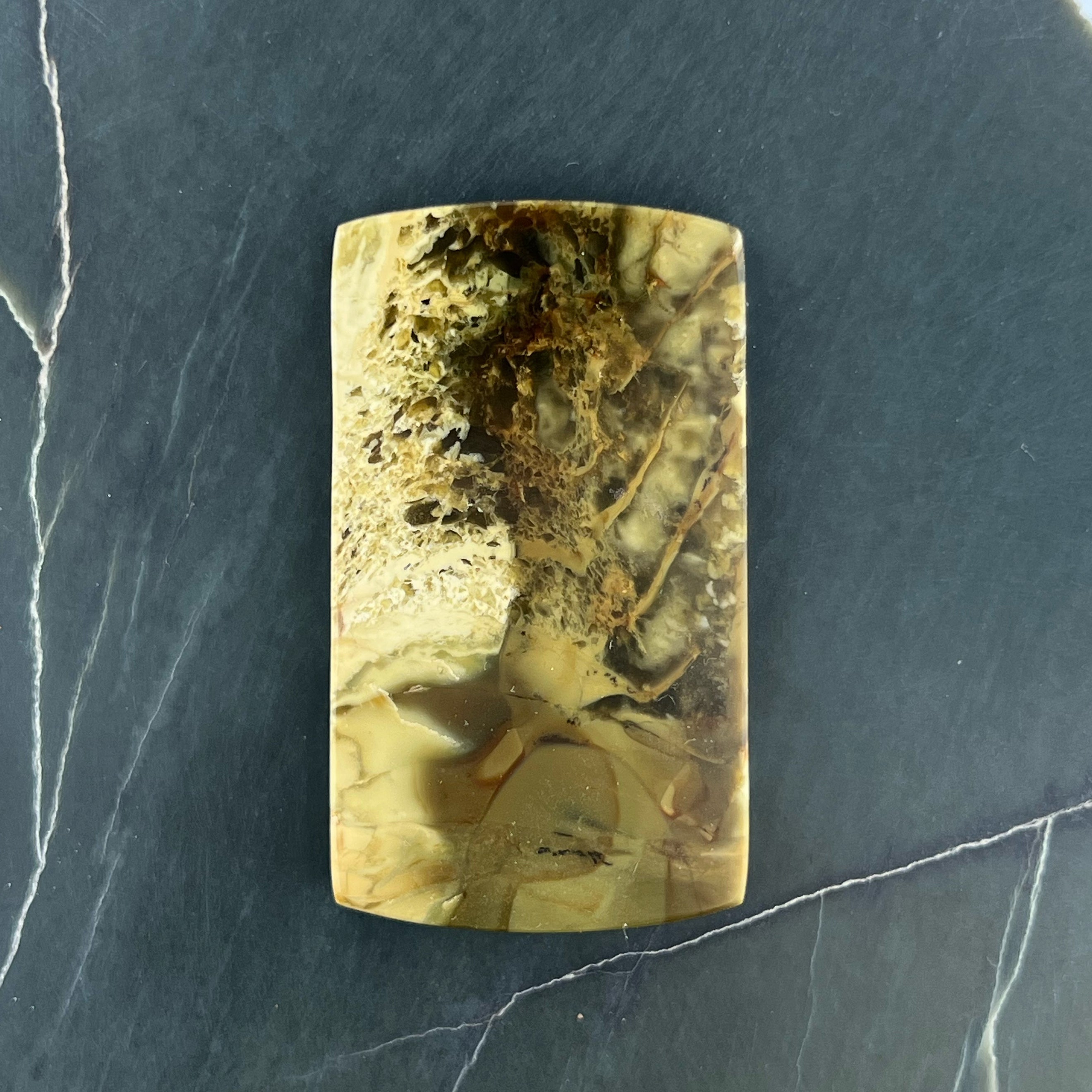 Morrisonite Jasper Hand Cut Cabochon from Oregon