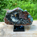 Chrysocolla in Jasper Polished Display Specimen
