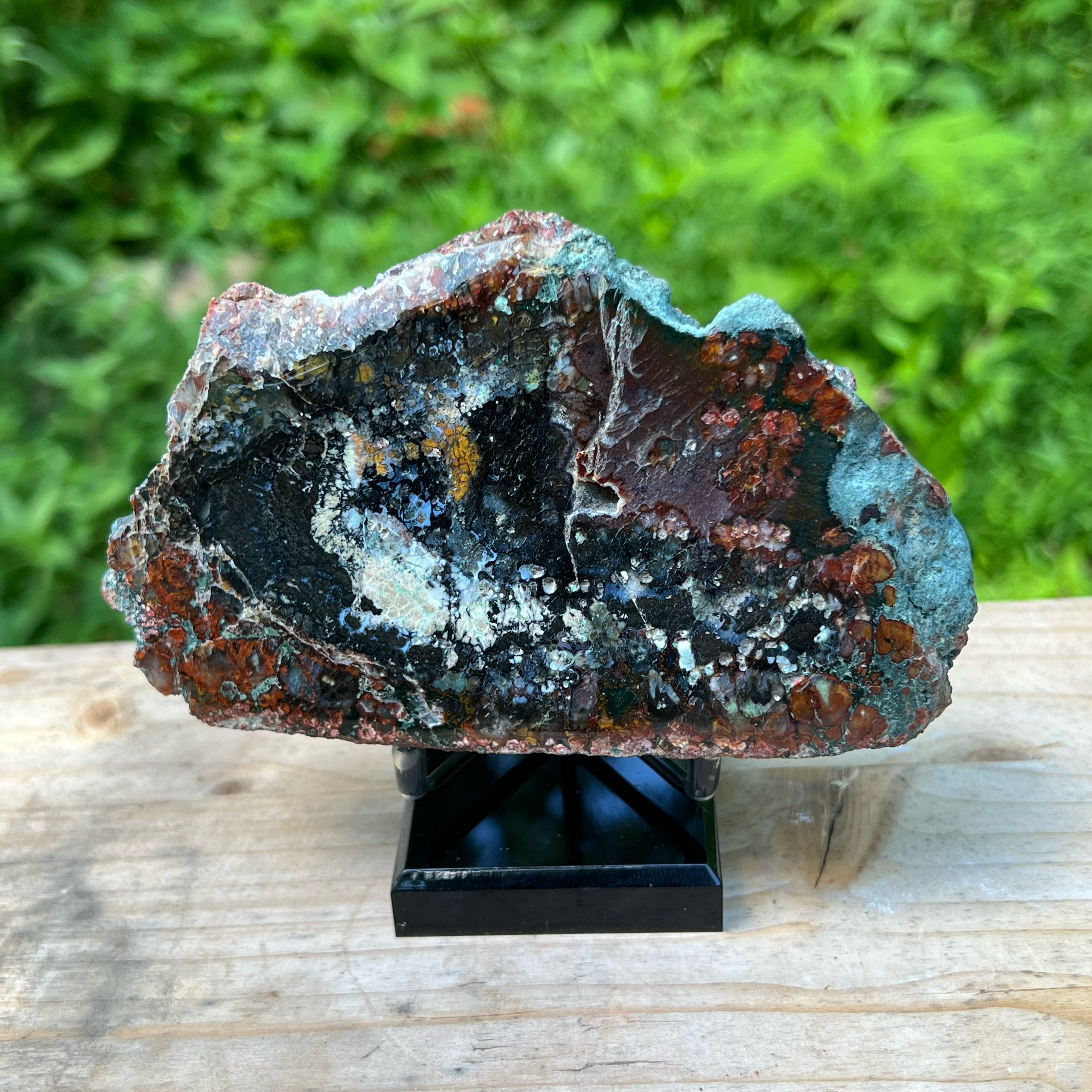 Chrysocolla in Jasper Polished Display Specimen