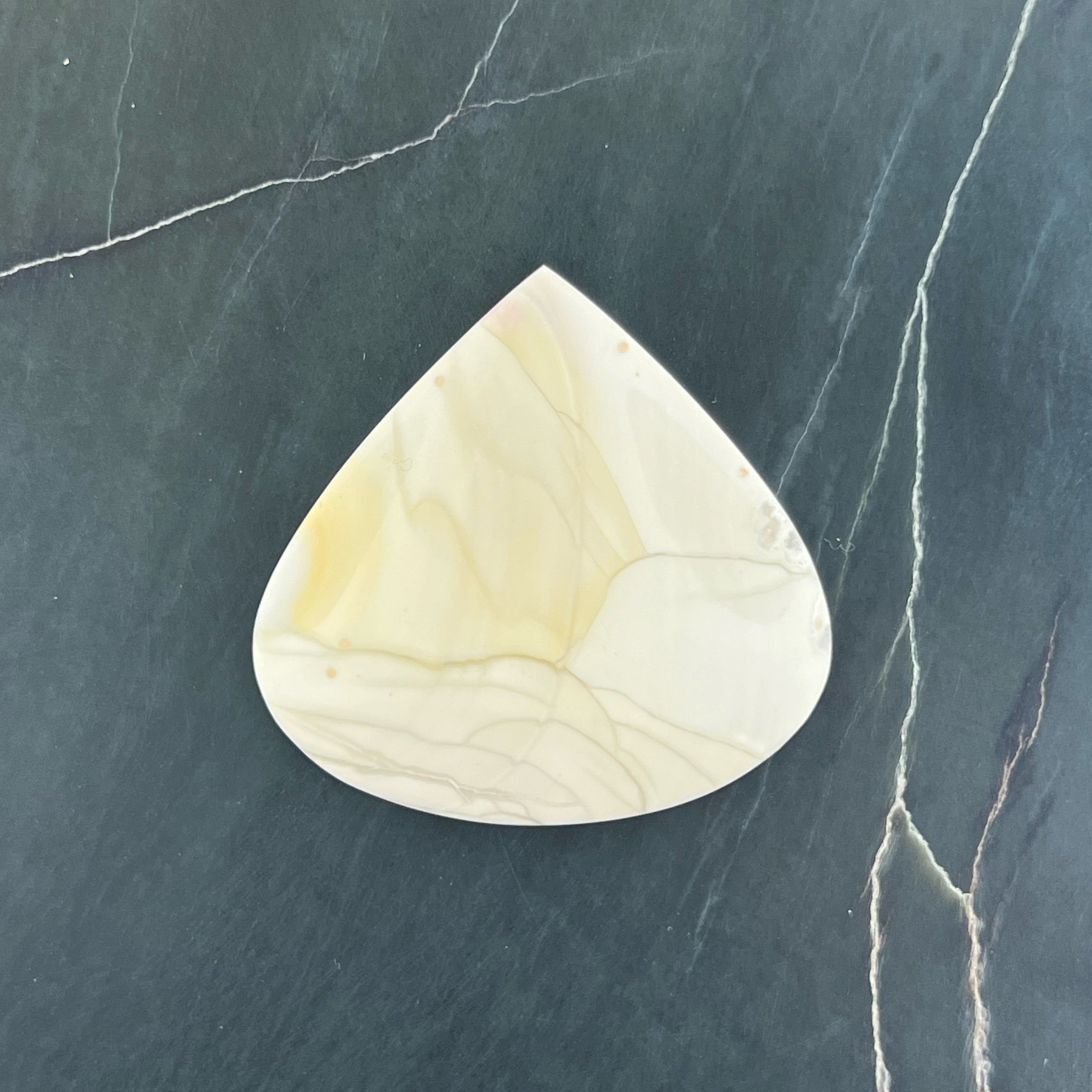 Willow Creek Jasper Hand Cut Cabochon from Idaho