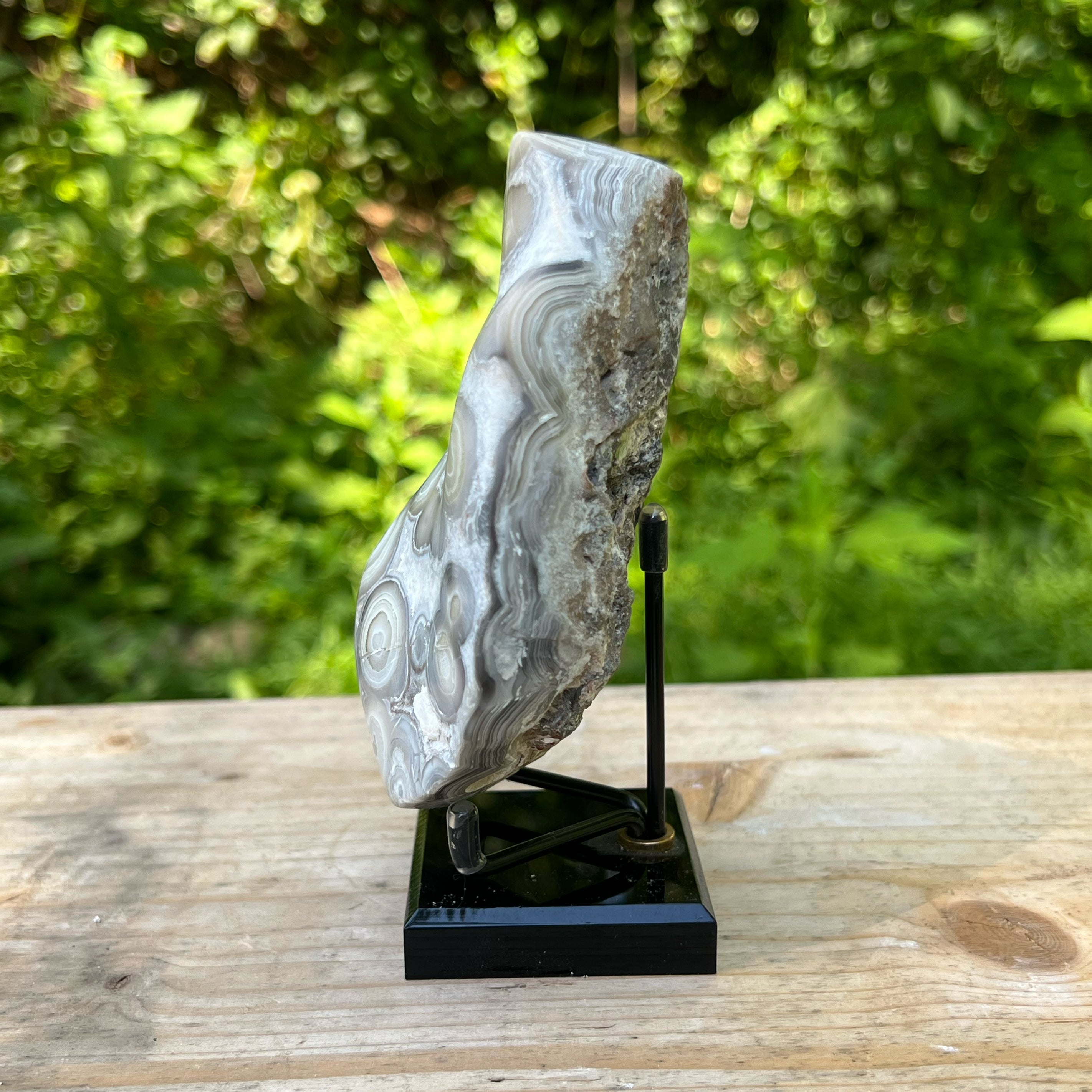Bubble Lace Agate Polished Display Specimen