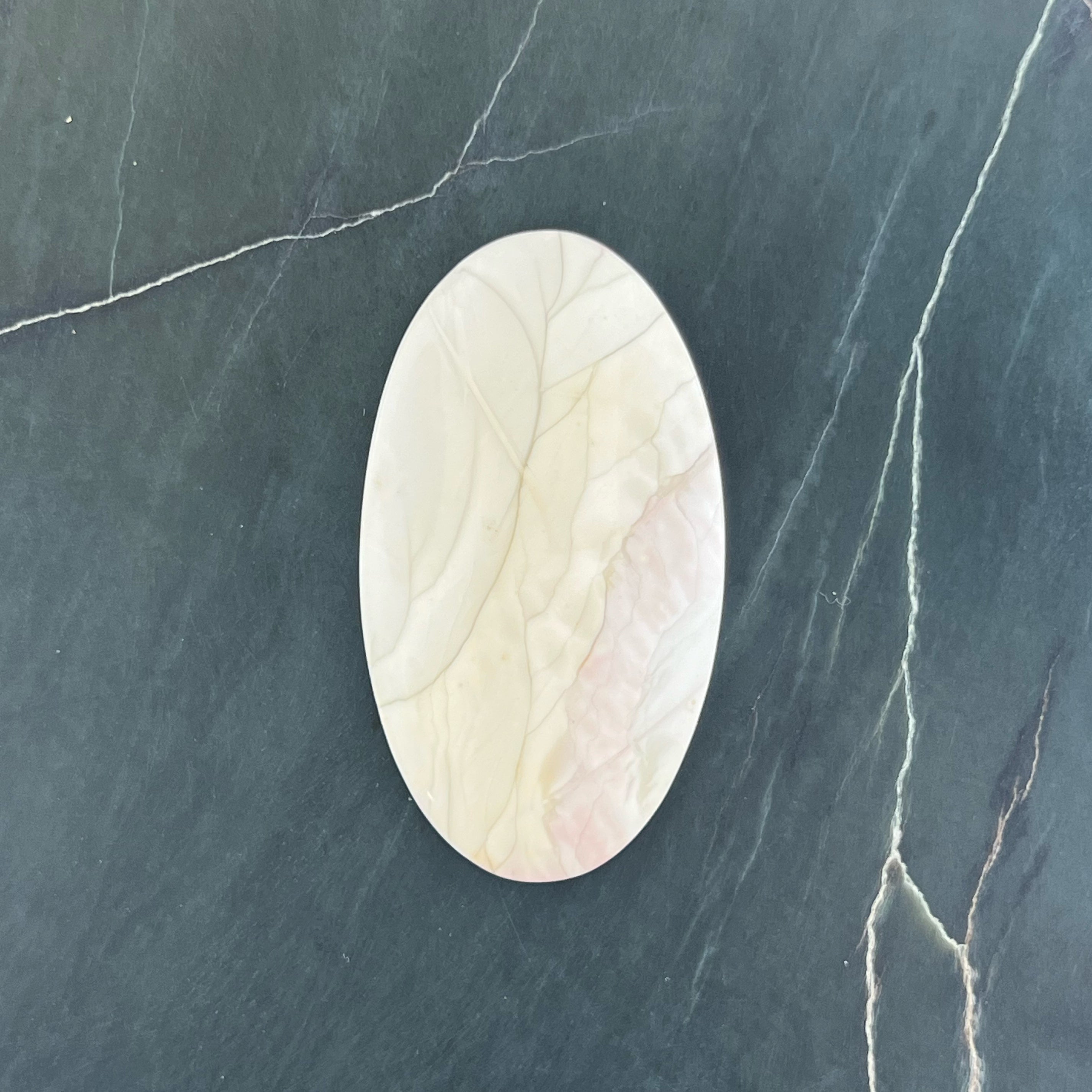 Willow Creek Jasper Hand Cut Cabochon from Idaho