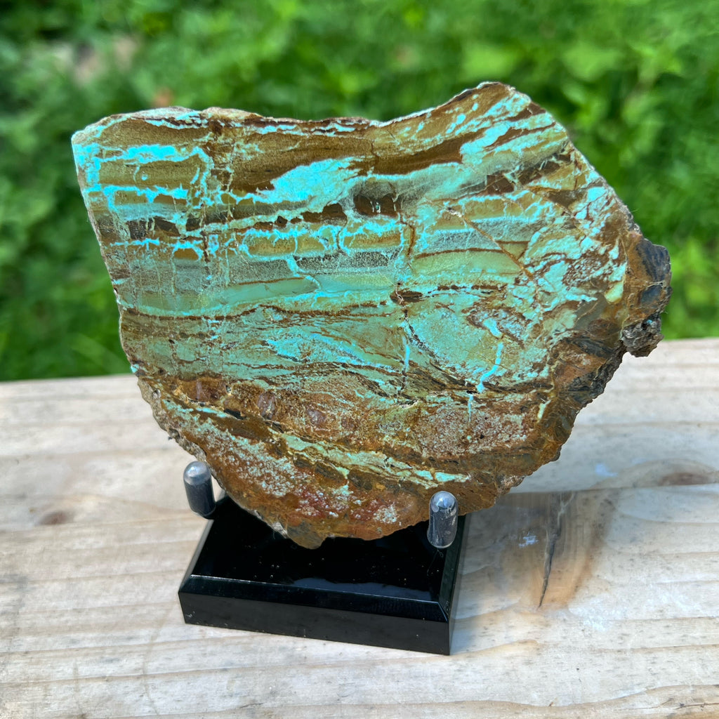 Number 8 Turquoise Polished Display Specimen