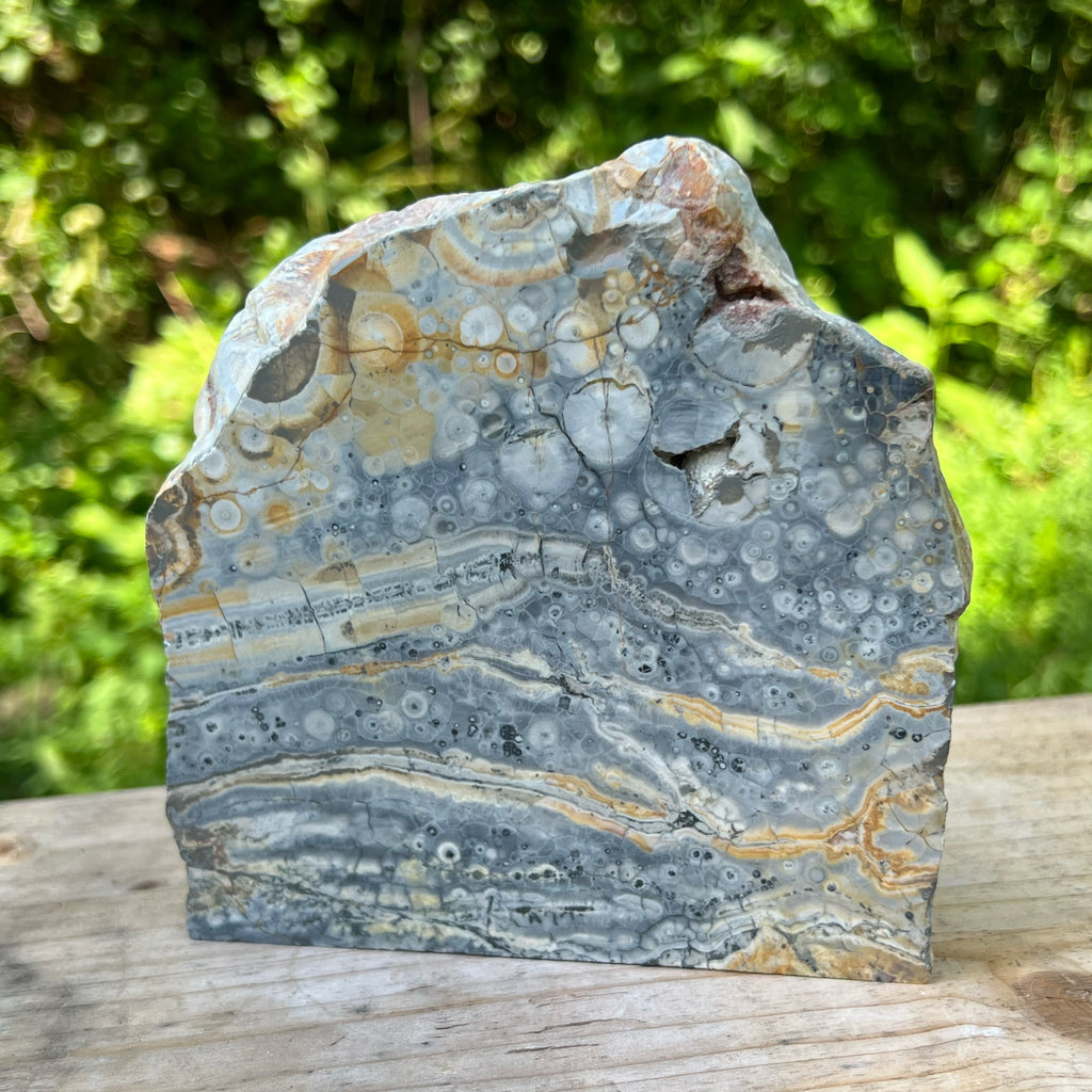 Galaxy Jasper Polished Display Specimen