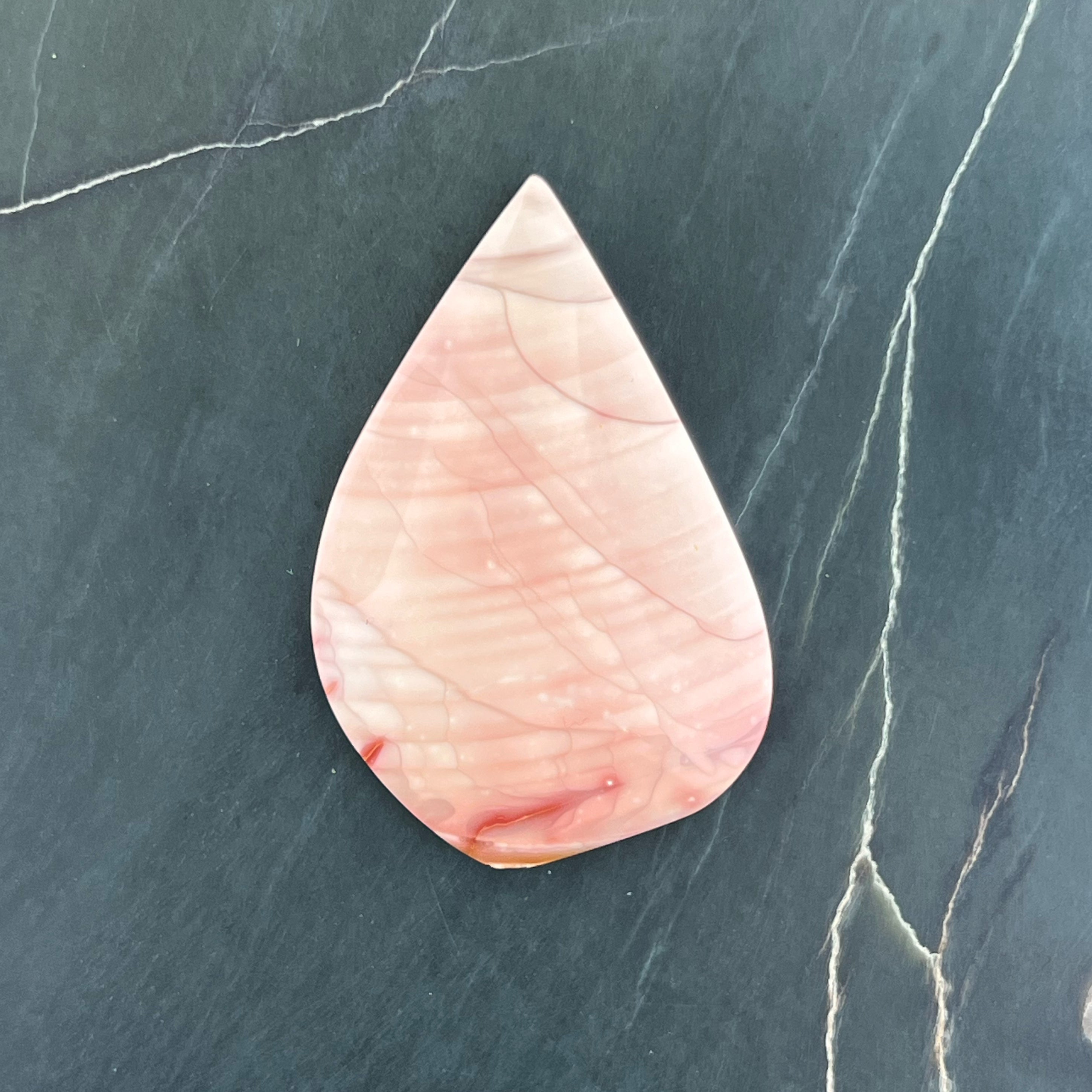 Willow Creek Jasper Hand Cut Cabochon from Idaho