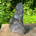 Bubble Lace Agate Polished Display Specimen