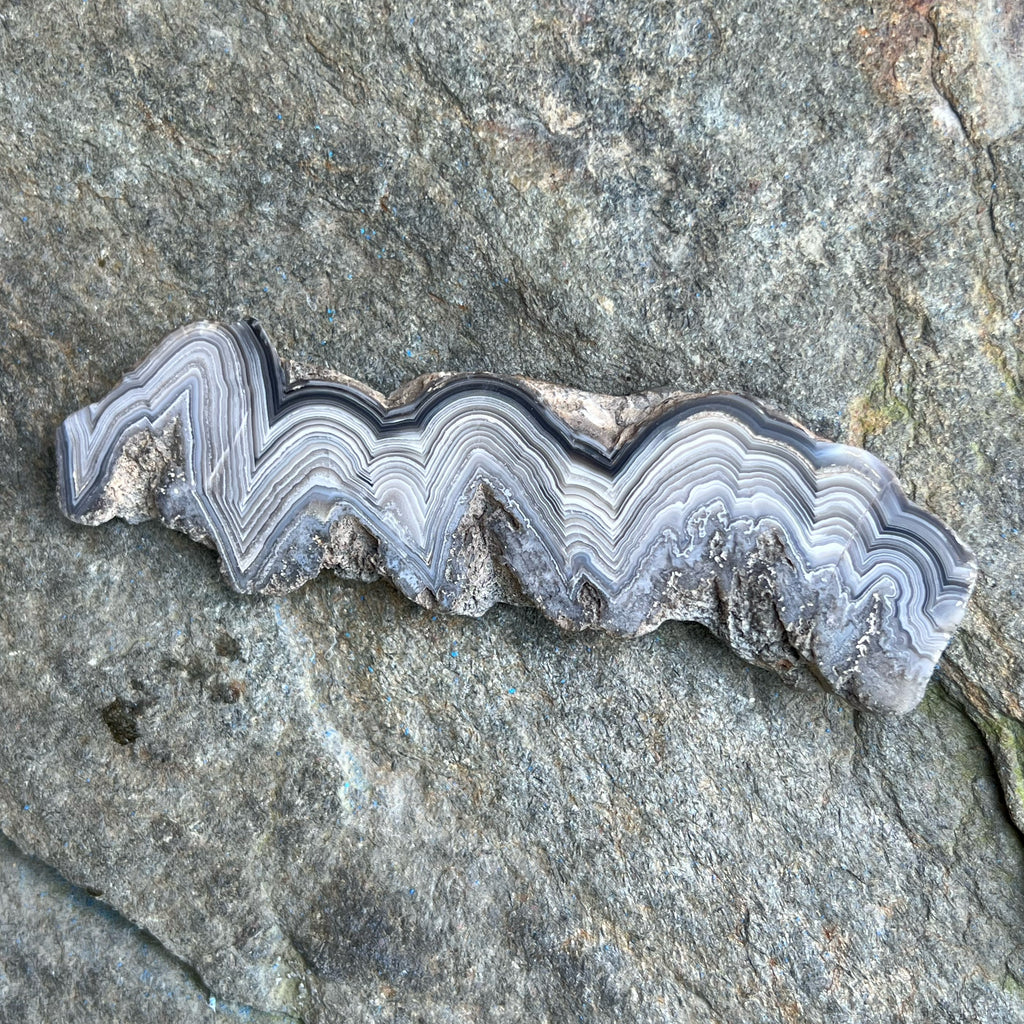 Bubble Lace Agate Polished Display Specimen