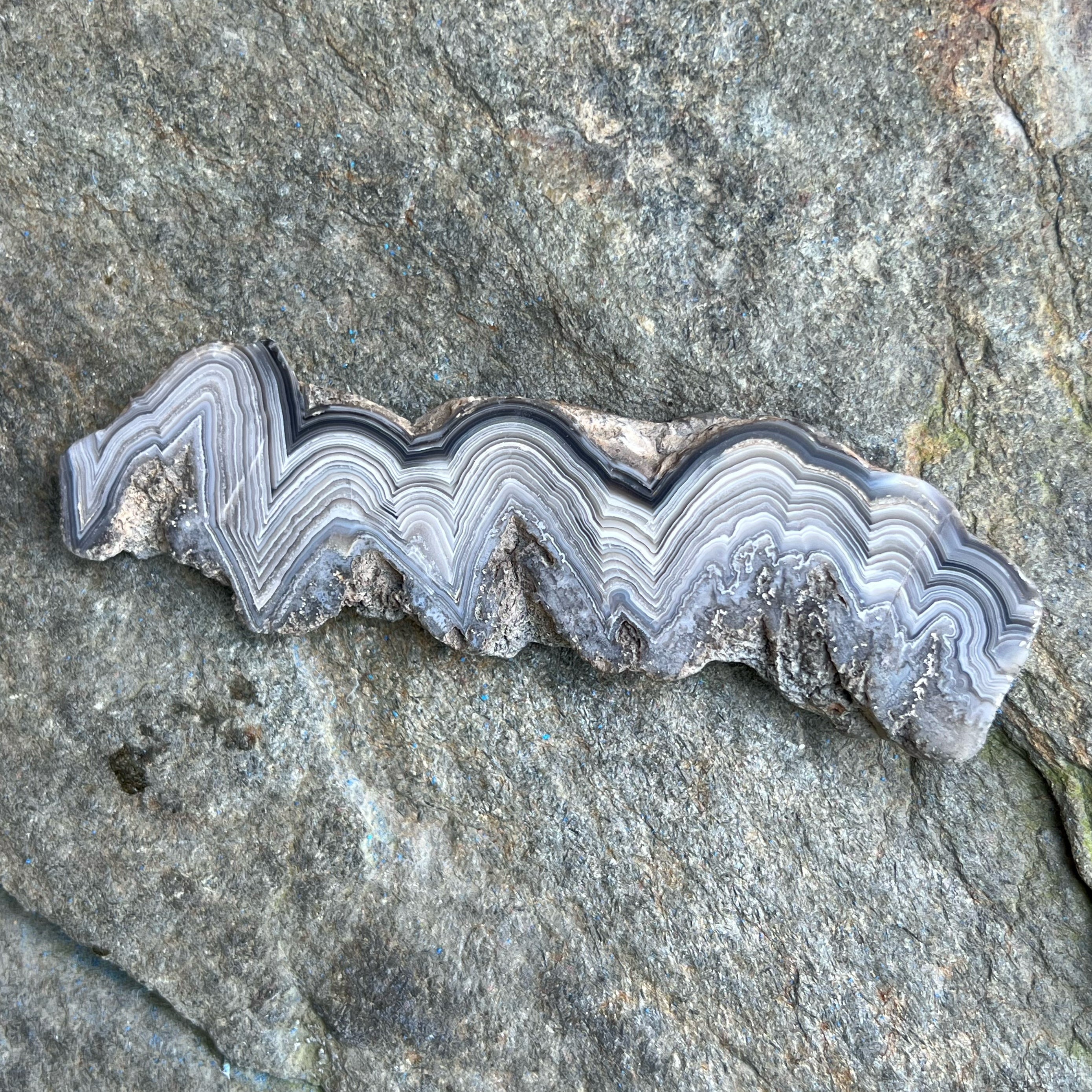 Bubble Lace Agate Polished Display Specimen