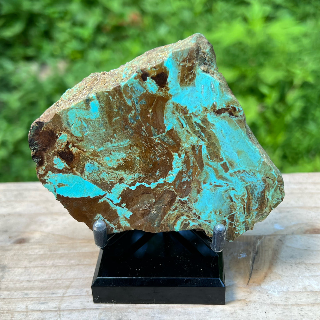 Number 8 Turquoise Polished Display Specimen