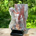 Crazy Lace Agate Polished Display Specimen