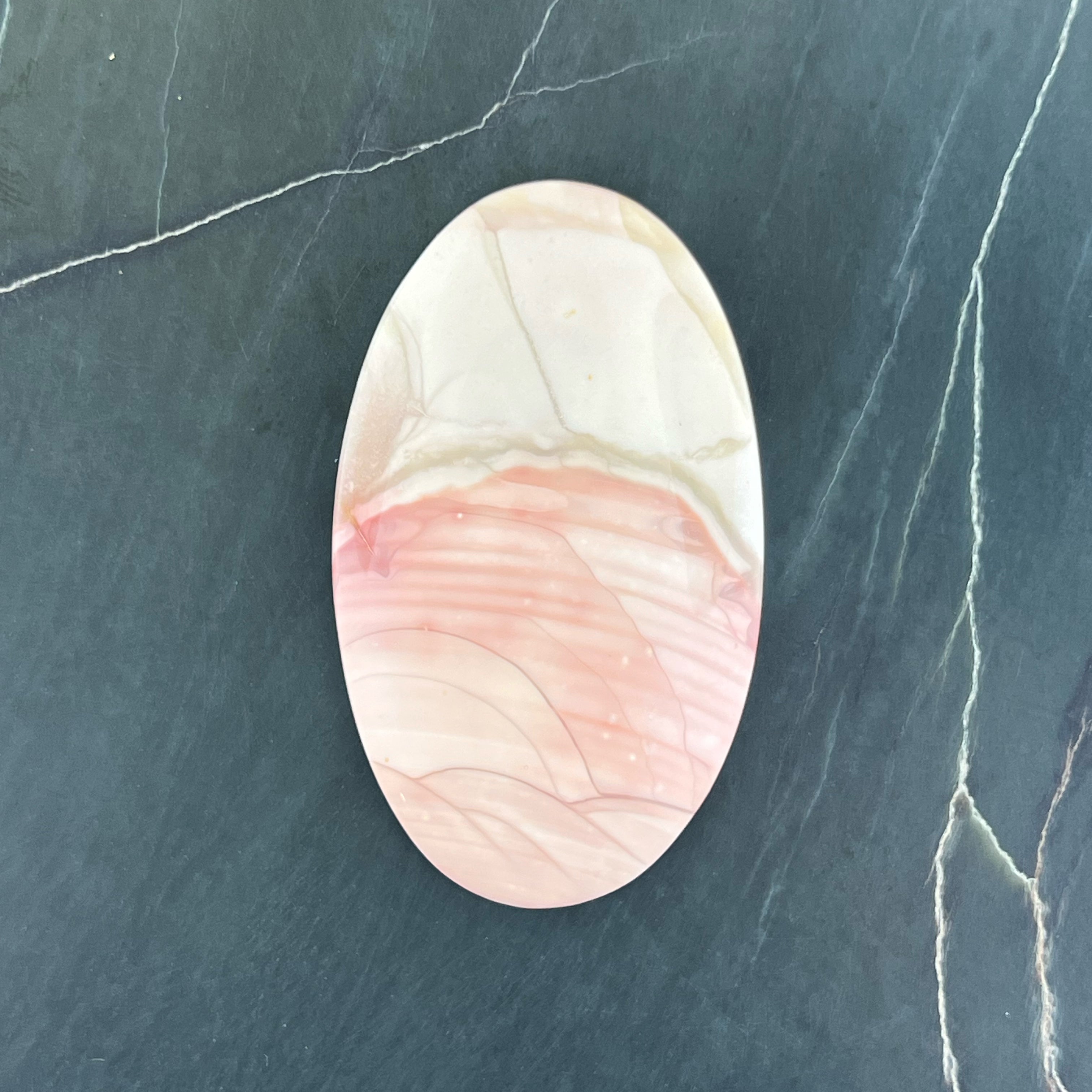 Willow Creek Jasper Hand Cut Cabochon from Idaho