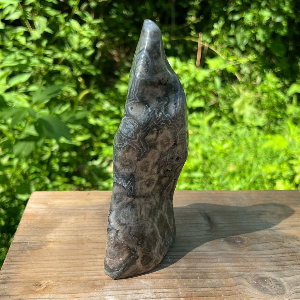 Bubble Lace Agate Polished Display Specimen