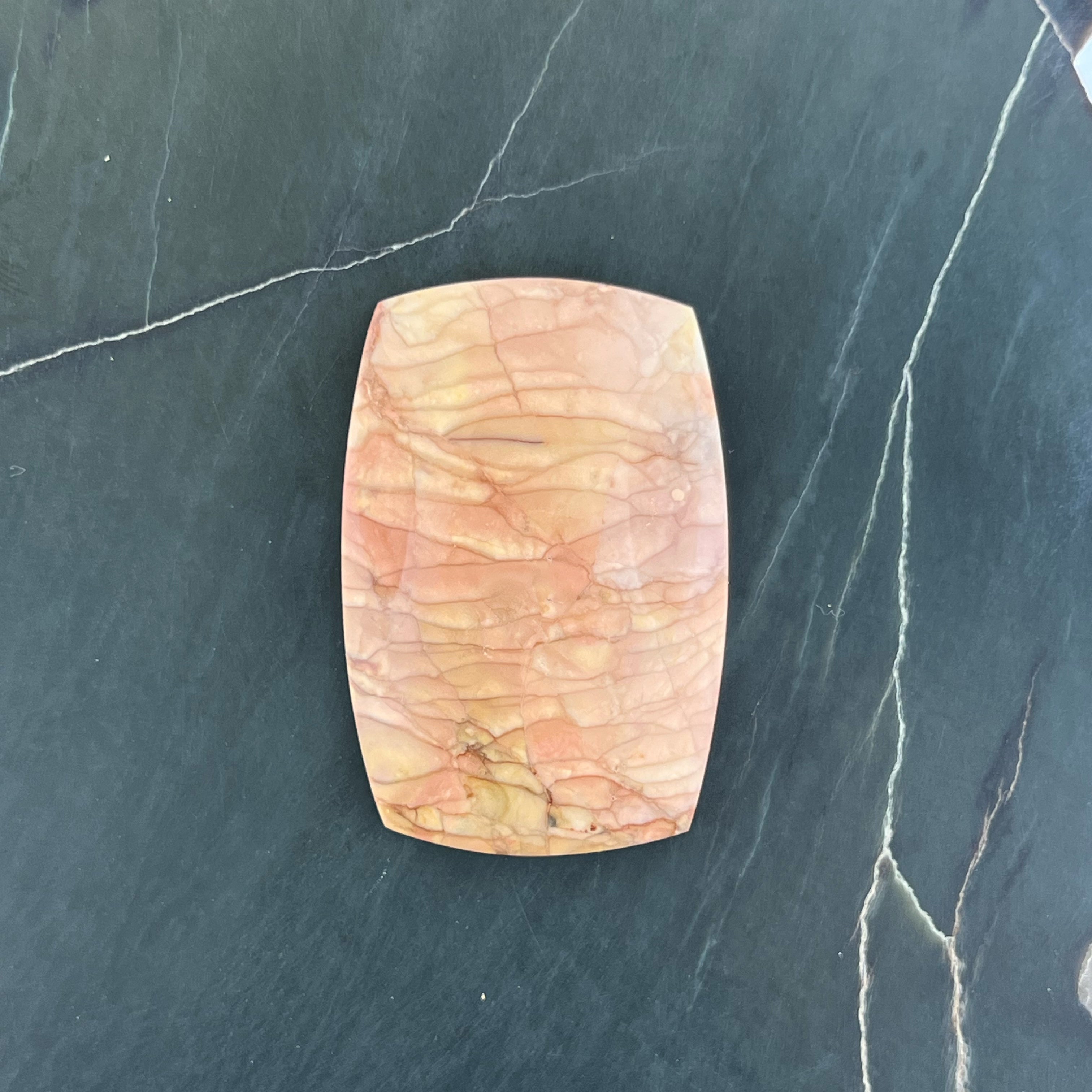 Willow Creek Jasper Hand Cut Cabochon from Idaho