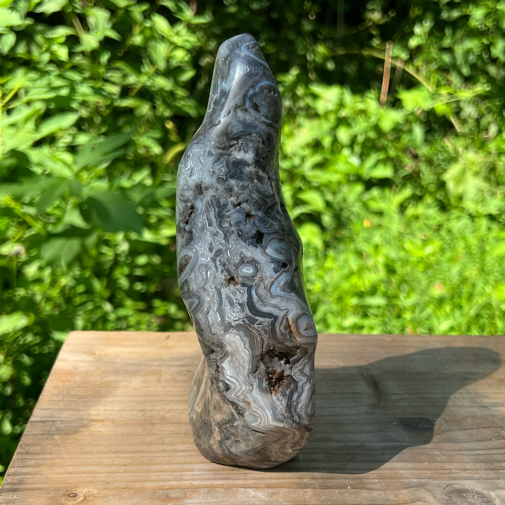 Bubble Lace Agate Polished Display Specimen