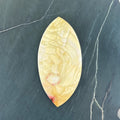 Willow Creek Jasper Hand Cut Cabochon from Idaho