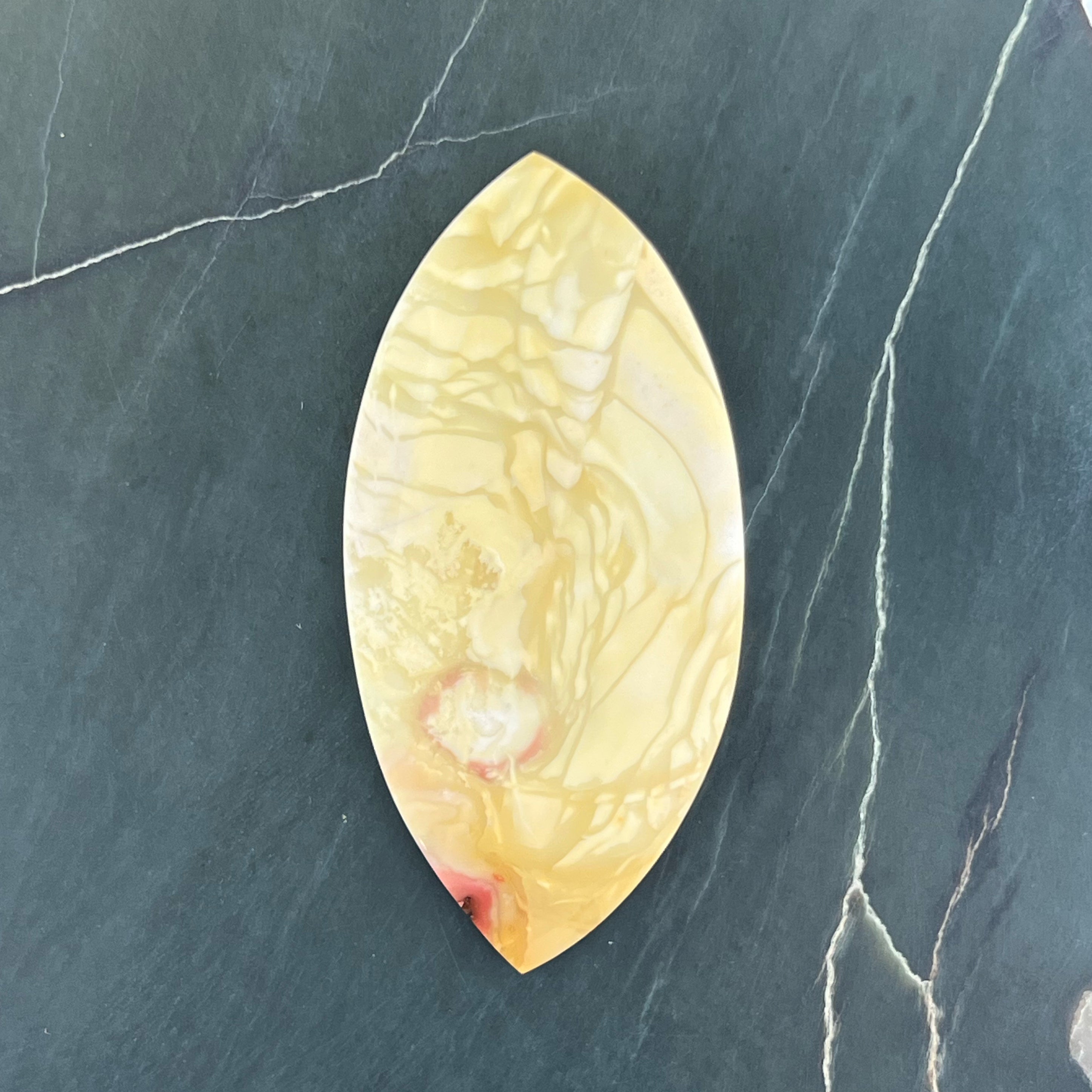 Willow Creek Jasper Hand Cut Cabochon from Idaho