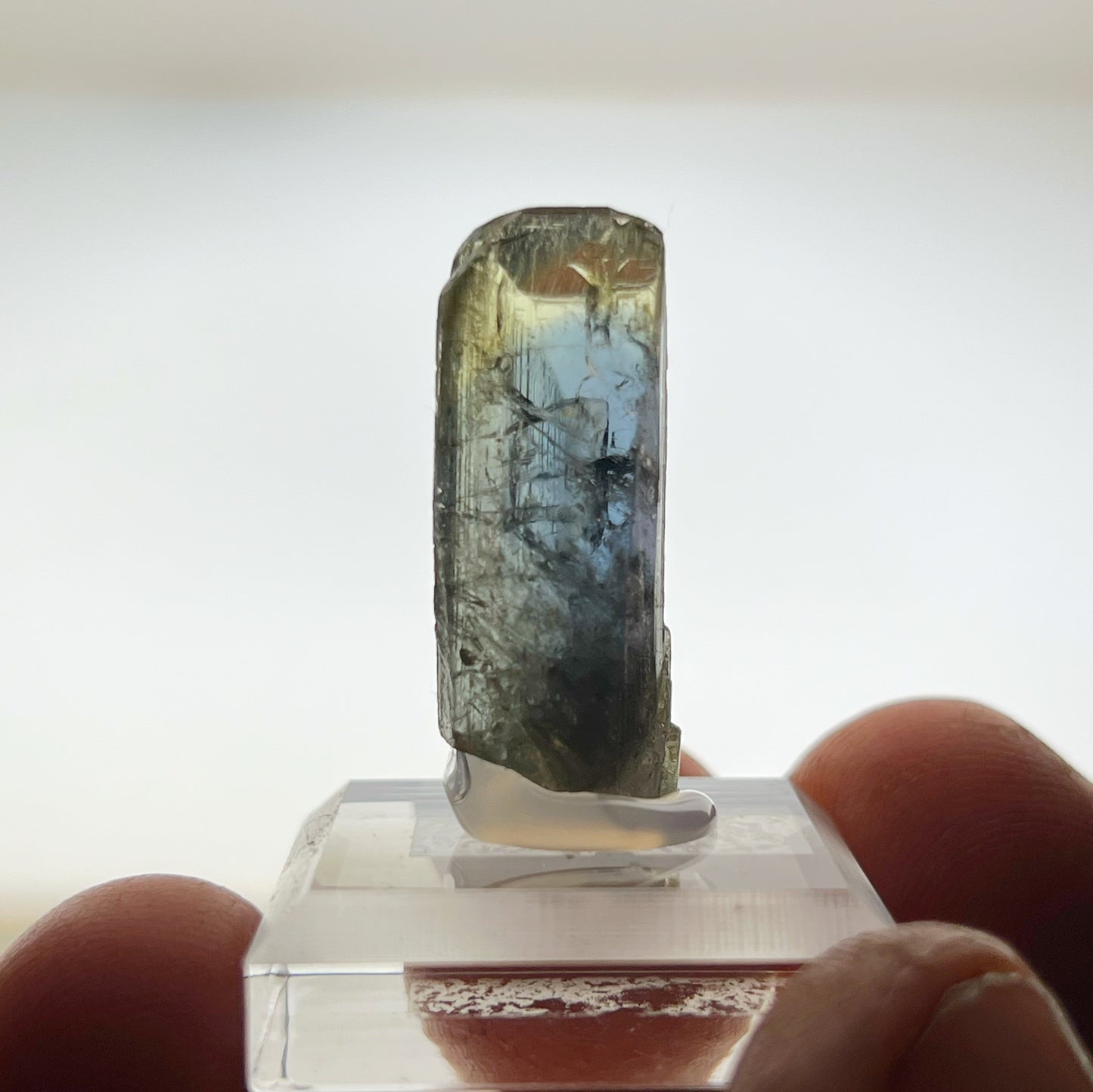 Unheated Tanzanite Crystal Mineral Specimen