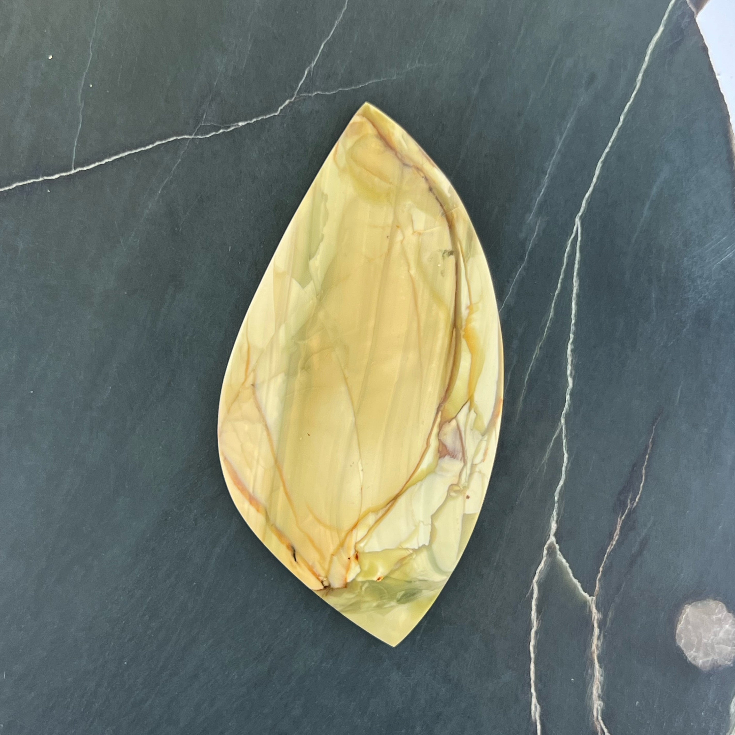 Willow Creek Jasper Hand Cut Cabochon from Idaho