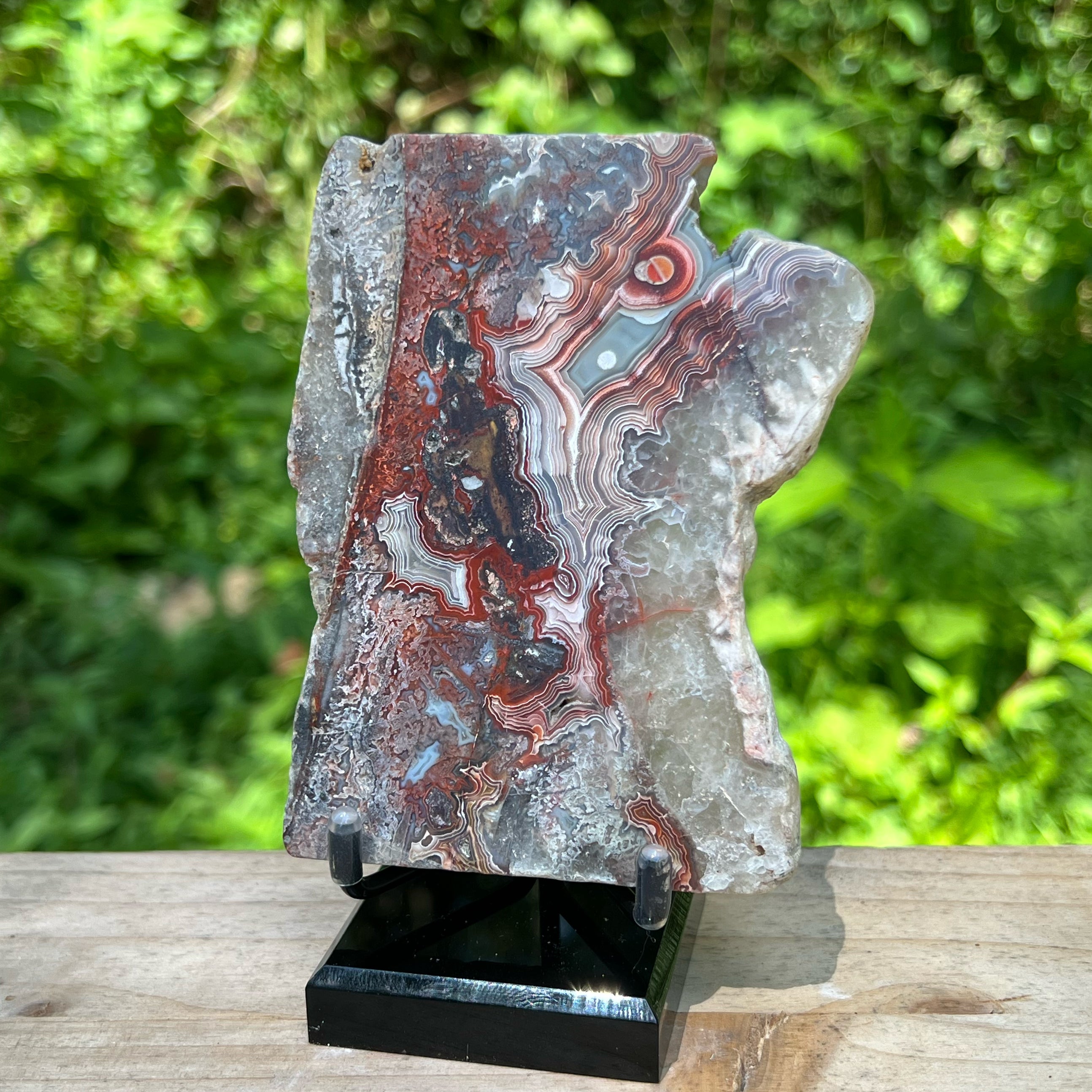 Crazy Lace Agate Polished Display Specimen