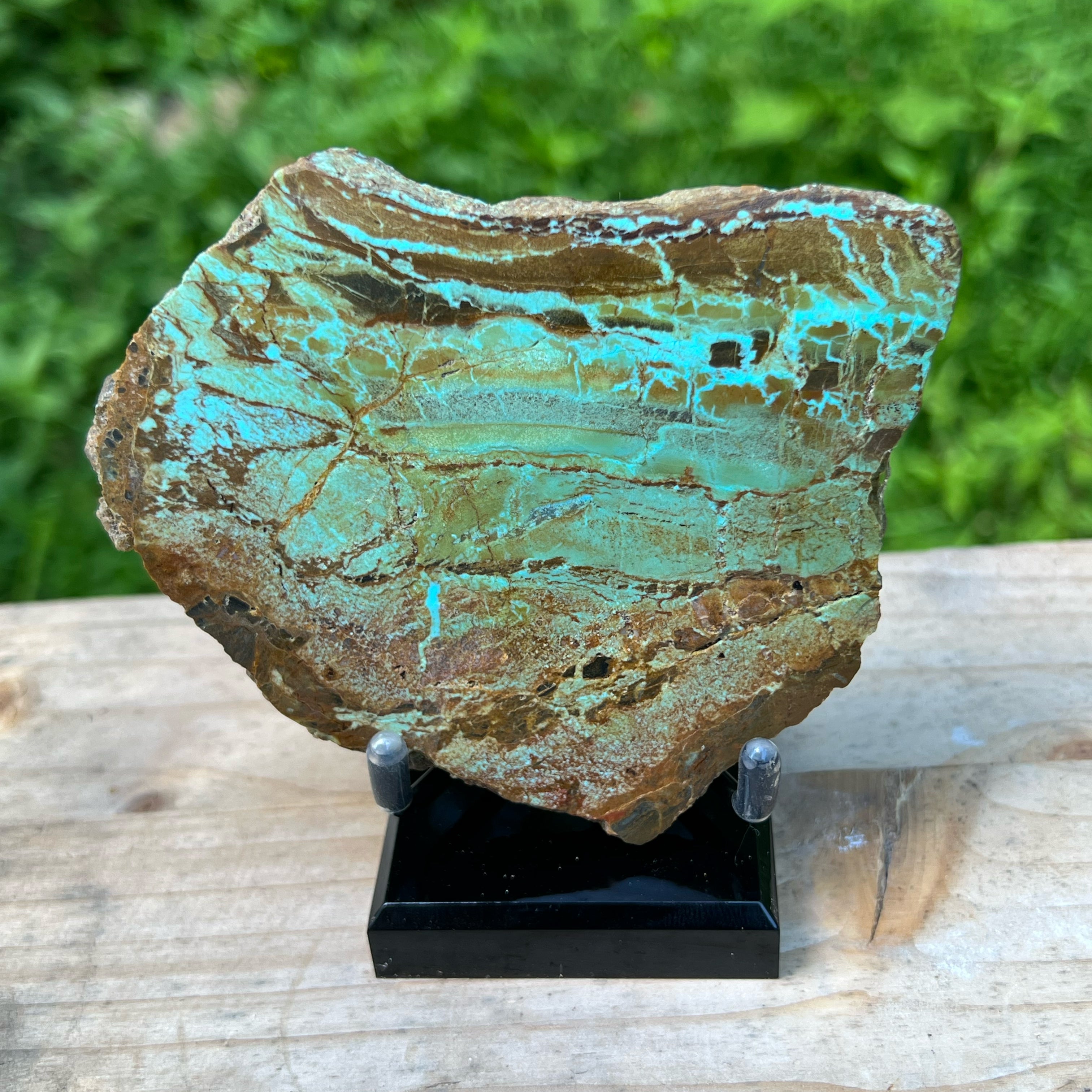Number 8 Turquoise Polished Display Specimen
