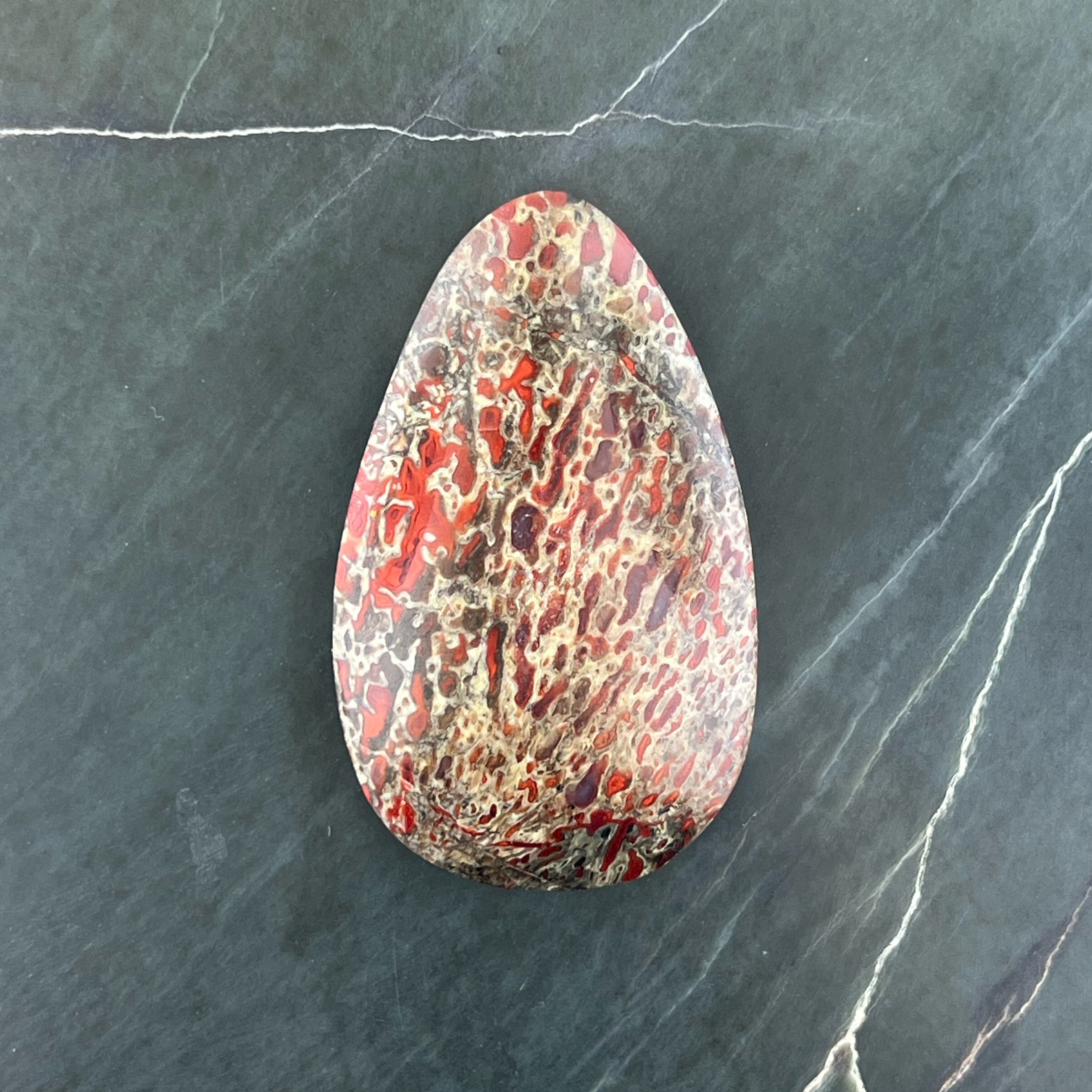 Agatized Dinosaur Bone Hand Cut Cabochon