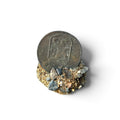 1733 Dutch East India Company (VOC) Copper Duit – Maritime History Concretion Shipwreck Coin Clump?